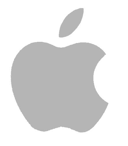 Apple iPad Air Screen Repair/Replacement